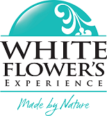 http://www.whiteflower.com.pl/pl/produkty/produkt/9/