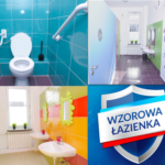 Rusza III edycja akcji wzorowa łazienka! Domestos